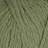 Alpaca Storm