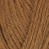 Alpaca Storm